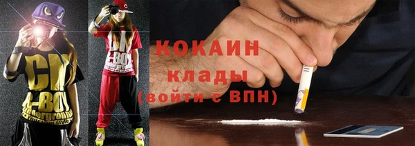 стаф Аркадак