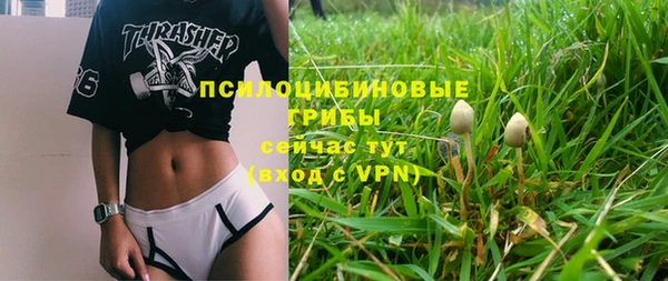 соль курить ск Арсеньев