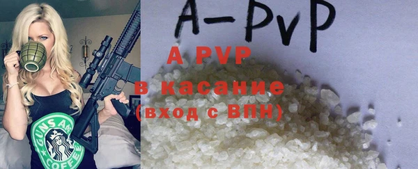 стаф Аркадак