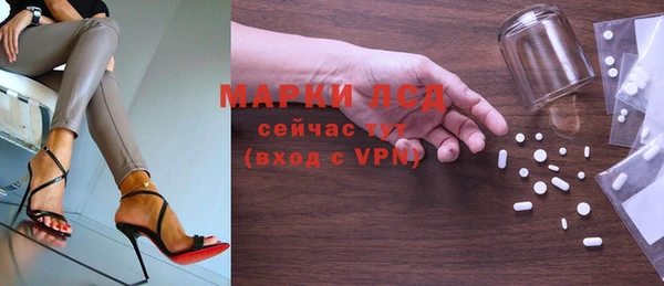 стаф Аркадак